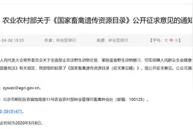 重磅《通知》发布，狗为人类的伴侣动物，不宜被食用图片