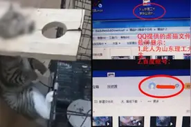 大学生被指虐杀猫出售视频，学校称会处理视频封面