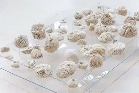 实验室里有什么艺术？图片
