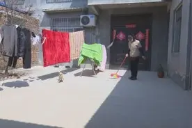 菏泽市成武县：绘就美丽乡村图景 打造宜居幸福家园图片