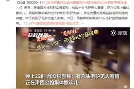 12头毛驴集体出逃马路撒欢 警方耗时2小时抓驴并帮找主人图片