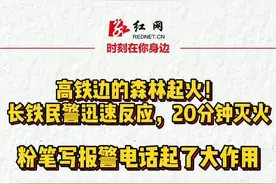 20分钟扑灭高铁旁山火 粉笔写报警电话起作用图片