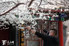 「高清组图」漫步花间不负春光 遇见乌鲁木齐最美四月天图片