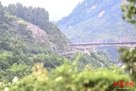 2元绿皮火车重现繁忙 疫情期间只有两三名乘客也没停运图片