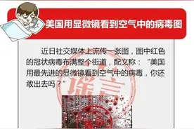 美国用显微镜看到空气中的病毒图？谣言图片