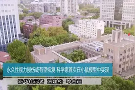 永久性视力损伤或有望恢复 科学家首次在小鼠模型中实现视频封面