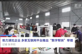 中国财富报道|助力湖北企业 多家互联网平台推出“数字帮扶”举措视频封面