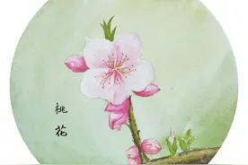 谁是“菜花家族”中的“高富帅”？这份攻略教你get赏花技能图片