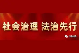 权威发布|谢振文同志当选为钦州市钦南区人民检察院检察长【第1158期】图片