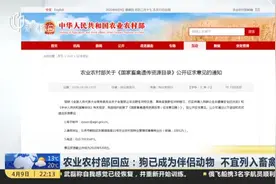 农业农村部回应：狗已成为伴侣动物  不宜列入畜禽管理视频封面
