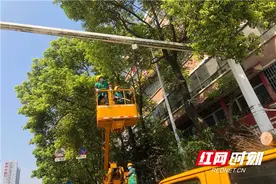 郴州公安交警：清枝消隐患“亮”出被遮挡的交通标识标牌图片