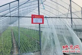 300人带领3万人大干300天遂平县石寨铺镇吹响三大硬仗冲锋号图片