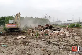 仅用10天！玉塘街道提前完成永久基本农田补划地块清拆任务图片