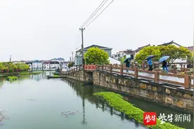 桥上江南·好生活│赴北桥北渔，约一场江南烟雨图片