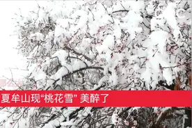 世界那么大| 甘肃夏牟山现“桃花雪” 美醉了视频封面