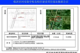 公示！临沂这里将要建一所学校图片