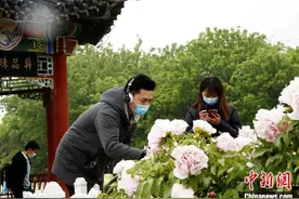 别样牡丹节“绽放”山东菏泽 全球宾朋在线共赏图片
