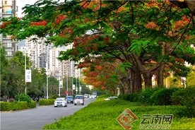 普洱思茅凭什么宜居宜业宜游？因为有这几手好牌图片