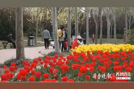 德州人，这份保姆级周末踏春攻略请查收图片