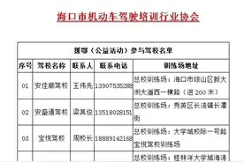 全额免费！海口23家驾校向驰援湖北的医务人员送上学车服务“大礼包”图片
