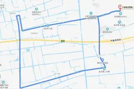 【提醒】浦东这13条公交线已陆续恢复正常营运图片
