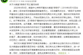 痛心！大熊猫宝宝“禄禄仔”玩耍中死亡，7小时后被发现图片