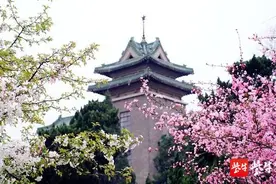 在线拍摄并提交视频！南农2020年表演专业测试调整方案出炉图片
