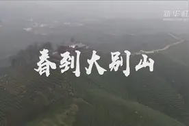 春到大别山视频封面