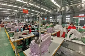 中国西海固农民在车间里种“铁杆庄稼”图片