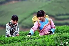 蒋大为放歌李尔重赋诗，一片茶叶催生一个4A景区图片