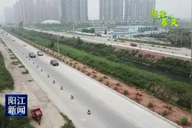 阳江：中洲大道预计6月底完工图片