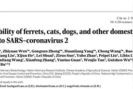 《科学》刊发哈兽研研究：评估雪貂、猫、犬等对新冠易感性图片