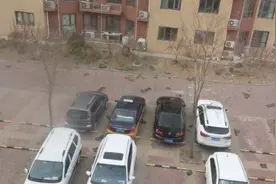 大风吹落楼顶防水层砸了60多辆车，这事谁来赔？图片