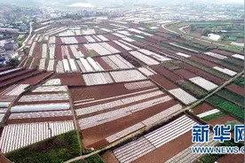 湖北十堰：航拍复耕春景美如画图片
