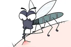 被蚊子叮了，会得新冠吗？图片