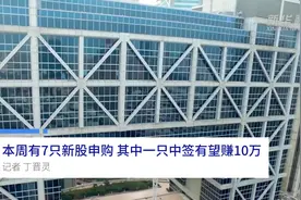 中国财富报道|本周有7只新股申购 其中一只中签有望赚10万视频封面