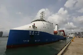 鲸落：一头鲸的死亡，形成了一个深海生态系统图片