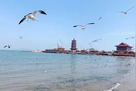 太鲜了！一年一次籽多肉实的皮皮虾来啦！你家吃了吗？图片