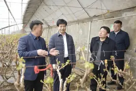 通化师范学院党委书记李才，党委副书记、校长朱俊义到辉南县调研图片
