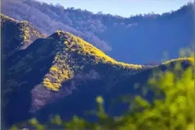 这里的春，美得真是放肆啊图片