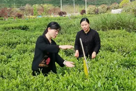湖南生物机电职院：专家团为企业护航，技术指导“不断线”图片