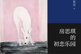 再读《房思琪的初恋乐园》：性侵受害者需要怎样的同情理解图片