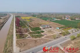 河南清丰建万亩生态公园护堤涵水助力雄安建设图片