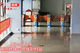 视频：谁家的狗丢了？地铁站里跑进一只阿拉斯加犬图片