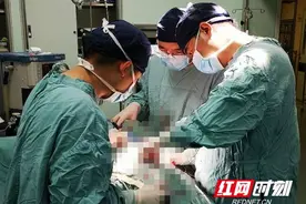三个月腰上“小包”疯长皮球大 手术清除六旬老汉肾脏巨大肿瘤图片