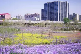 西五环边再添休闲好去处，这座公园五月重新开放图片