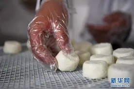 奶疙瘩里的幸福滋味图片