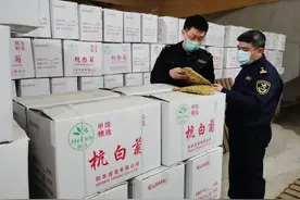 一季度“桐乡杭白菊”出口逆势增长，货值增幅超六成图片