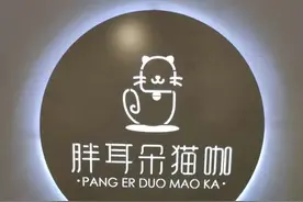 吃喝玩乐IN河北 | 撸猫撸狗撸猪撸鸭…只有你想不到，没有宠物咖啡馆做不到图片