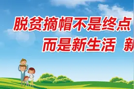 一颗糖换一支烟，石柱护林员守护1200亩山林的故事图片